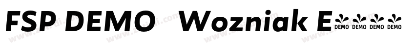 FSP DEMO   Wozniak E字体转换